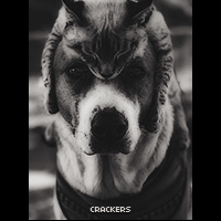 CracKerS