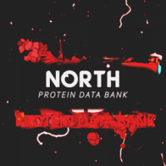 Northsamurai