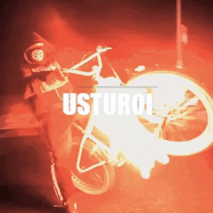 []Usturoi[]