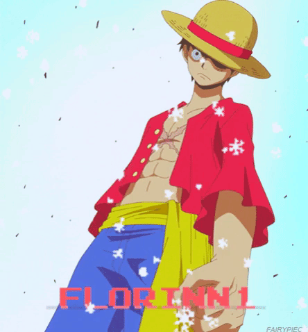 FlorinN1